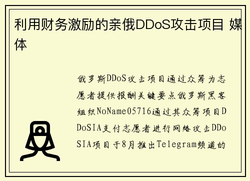 利用财务激励的亲俄DDoS攻击项目 媒体