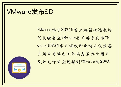 VMware发布SD